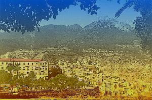ORAN 02336